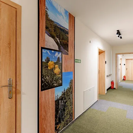 Roza Sudetow Couette-café